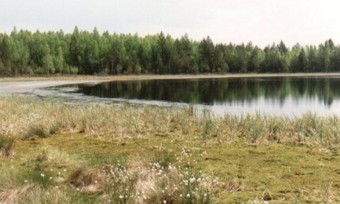 Purva ezers Rožupē
