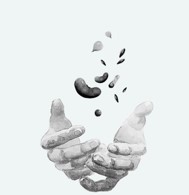 Augu sēklu maiņas punkts Līvānu bibliotēkā